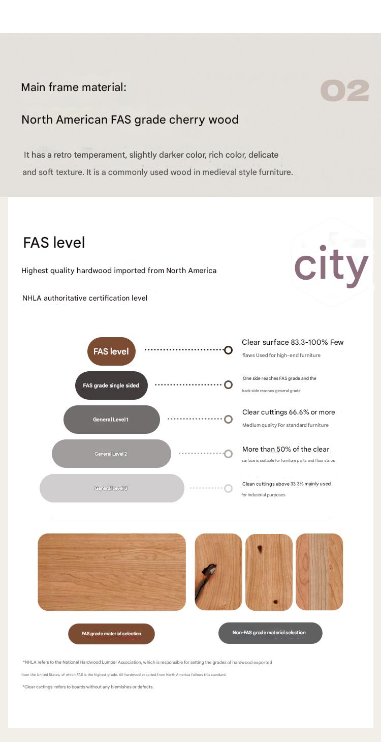 Cherry Solid Wood Modern Leather Sofa