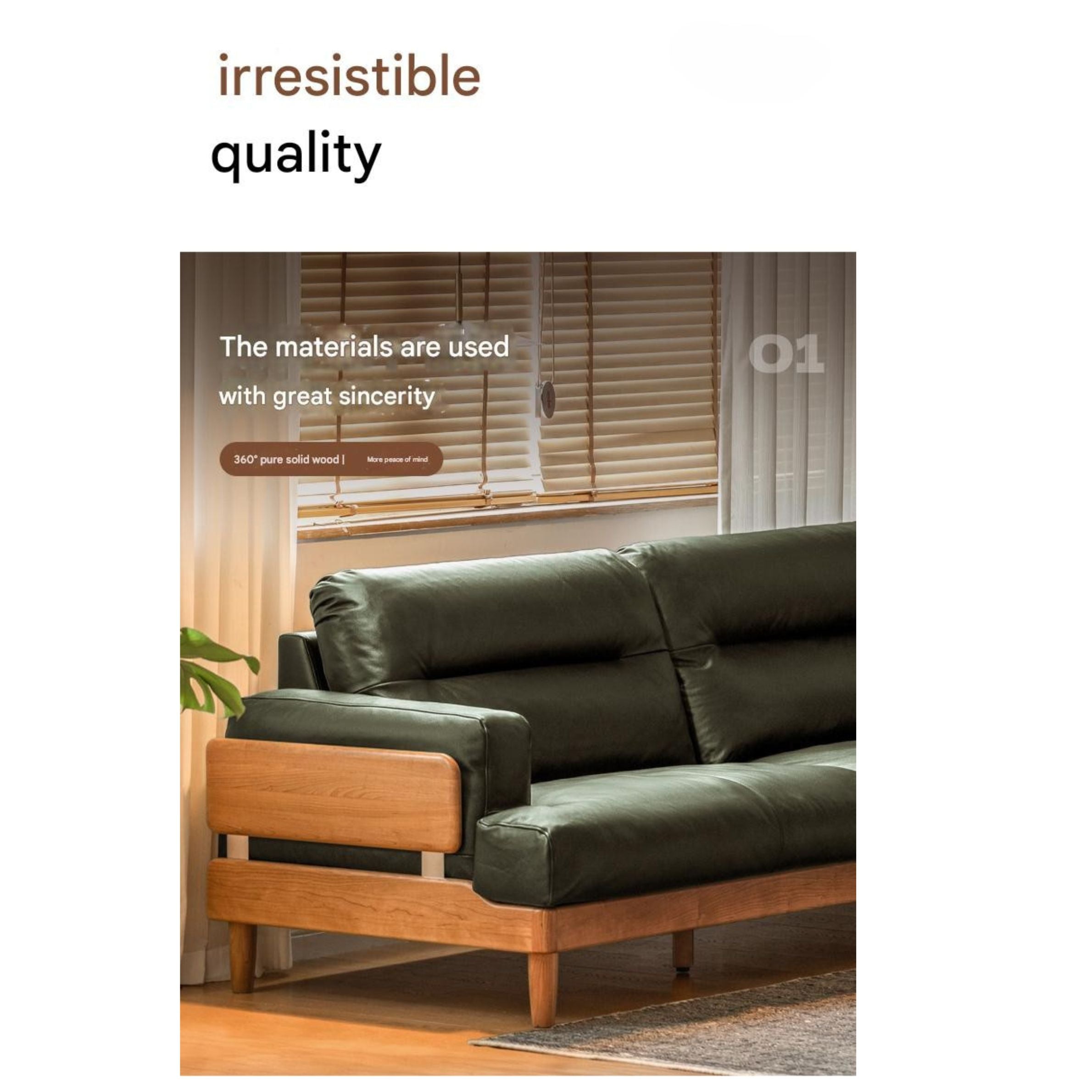 Cherry Solid Wood Modern Leather Sofa