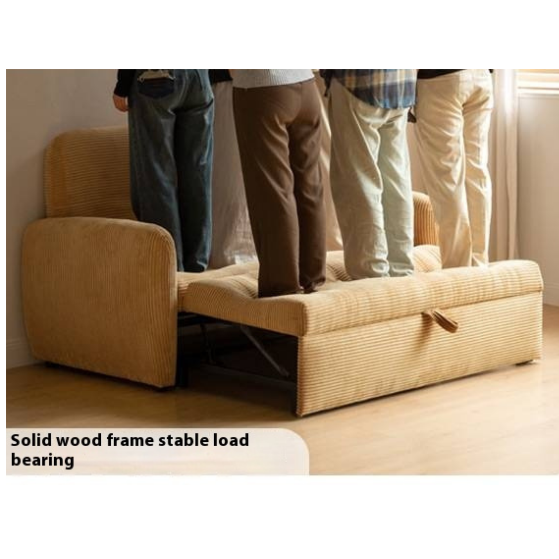 Fabric Retractable Modern Sofa Bed