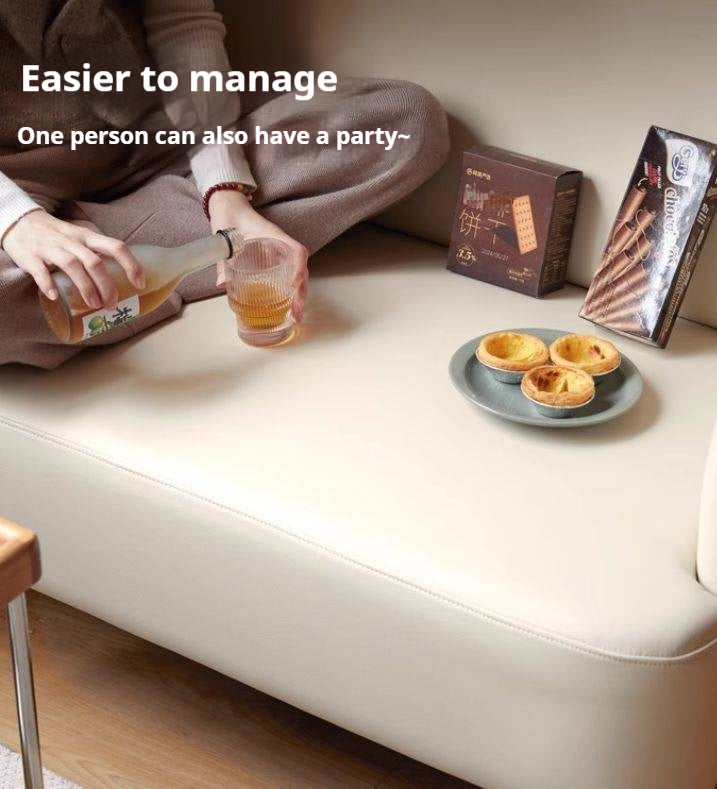 Beech Solid Wood Technology Cloth Sofa