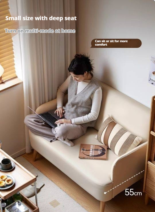 Beech Solid Wood Technology Cloth Sofa