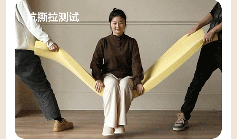 Beech Solid Wood Technology Cloth Sofa