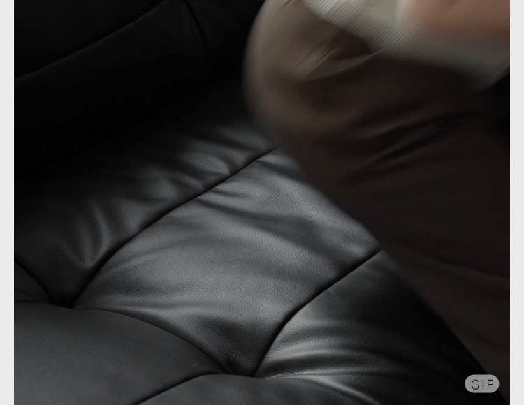 Leather Modern Style Sofa