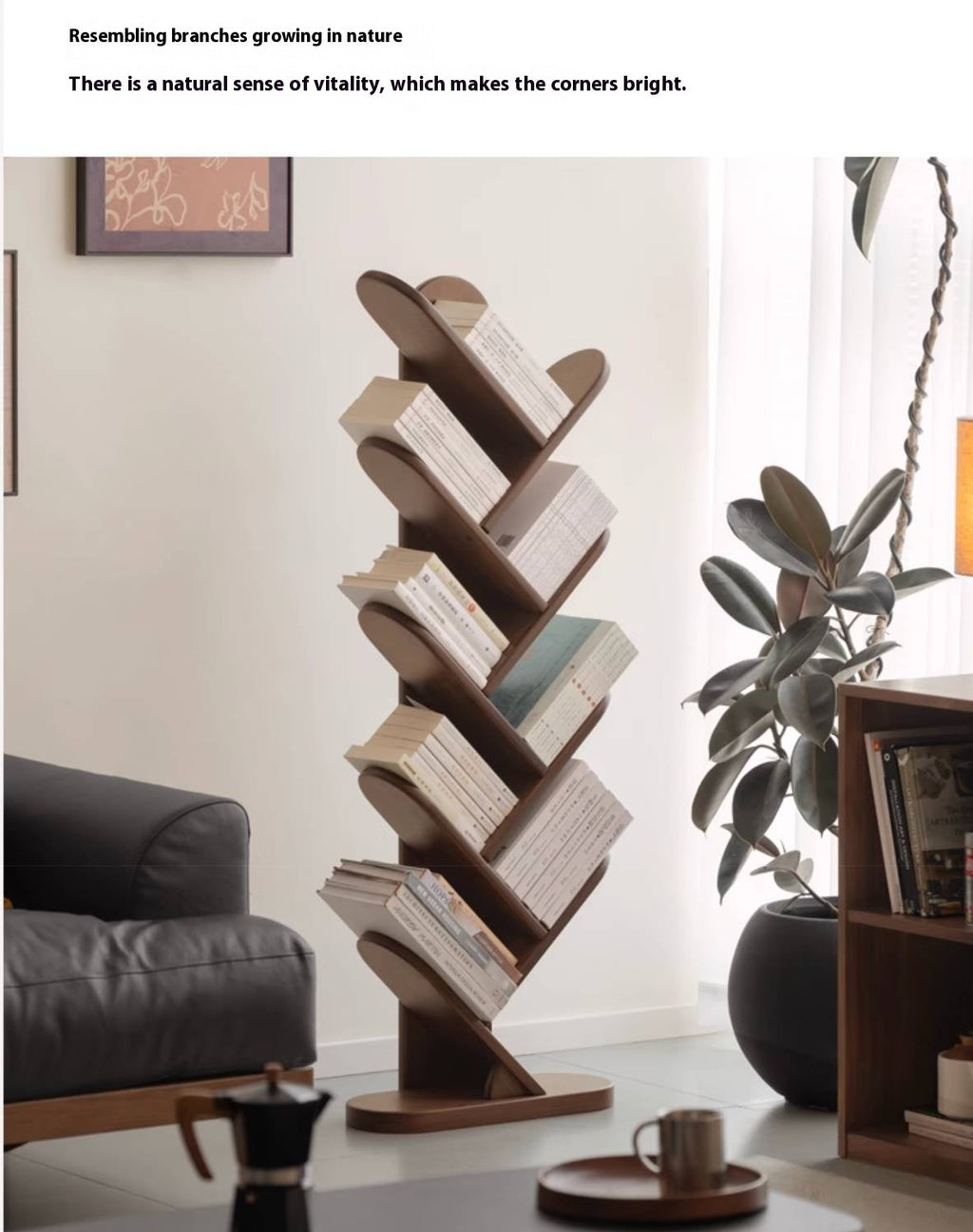 Black Walnut, South American Walnut Solid Wood Layer Rack Bookshelf