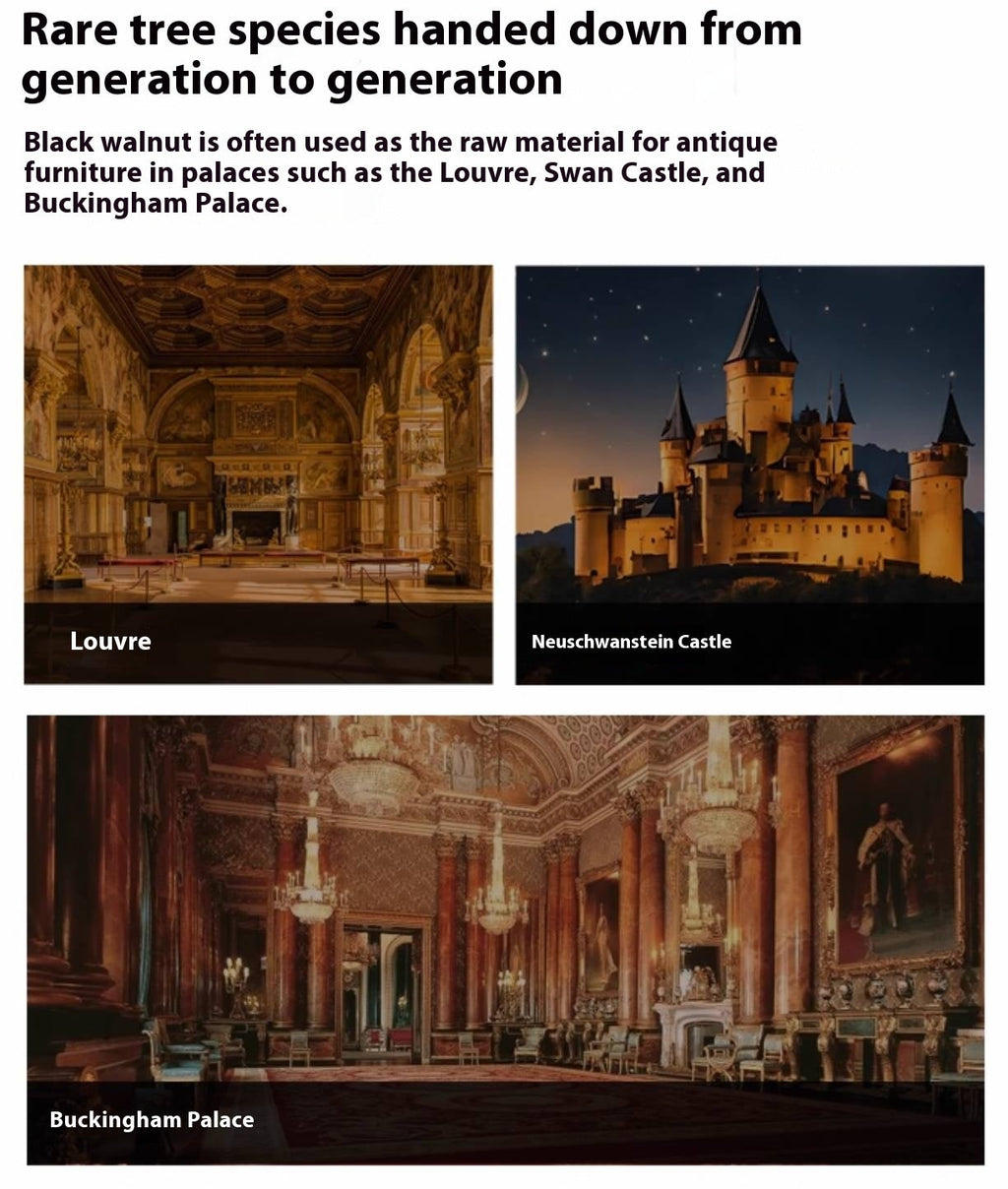 Black Walnut Solid Wood Rock Plate Coffee Table