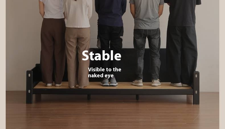 Ash Solid Wood Fabric, Leather Sofa