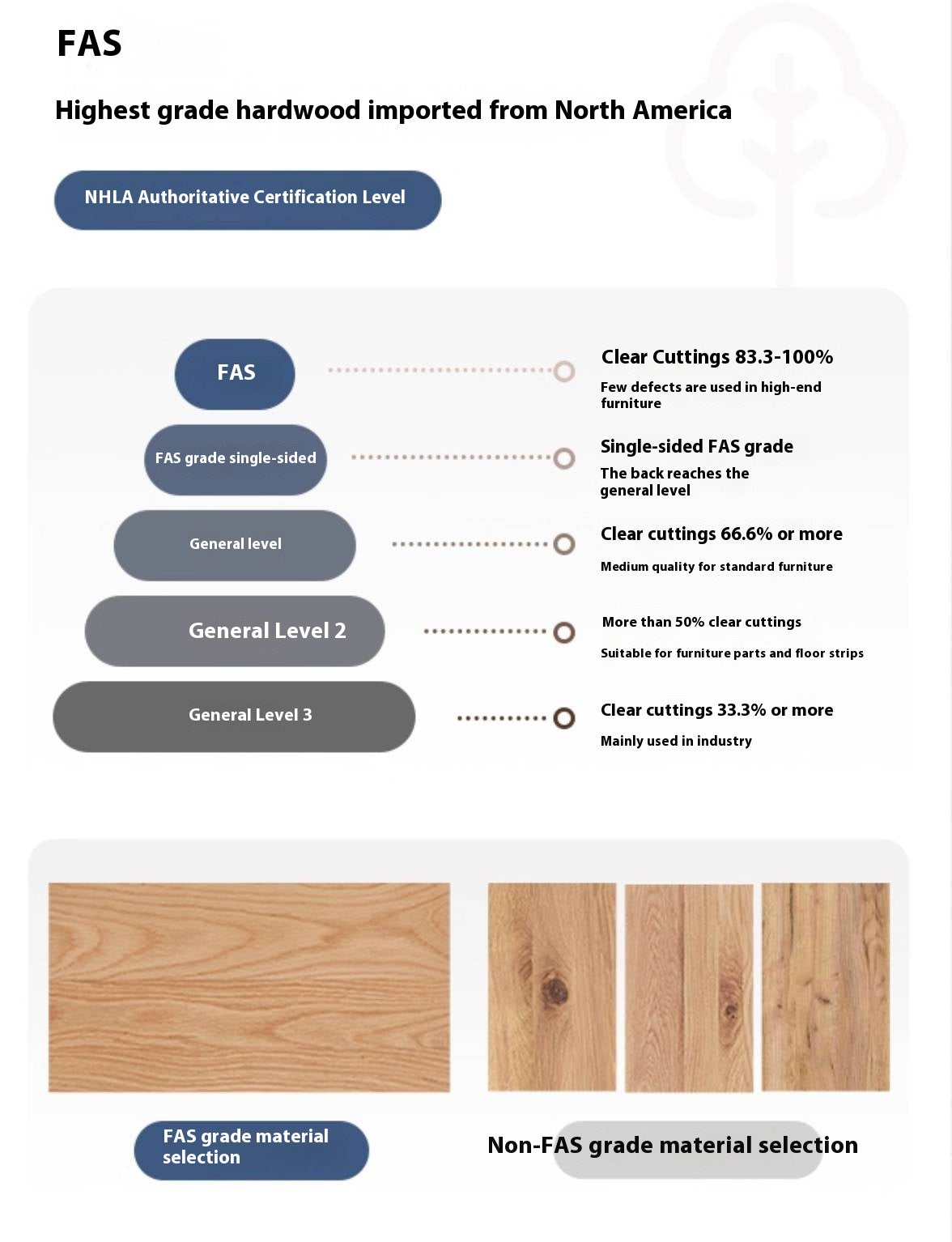Oak Solid Wood Bauhaus Style Bookcase
