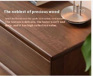 Black Walnut Solid Wood Sliding Doors TV Cabinet