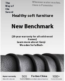 Ash Solid Wood Sofa Chair Fabric Back